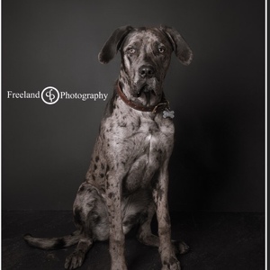 Fundraising Page: Monterey Meyer